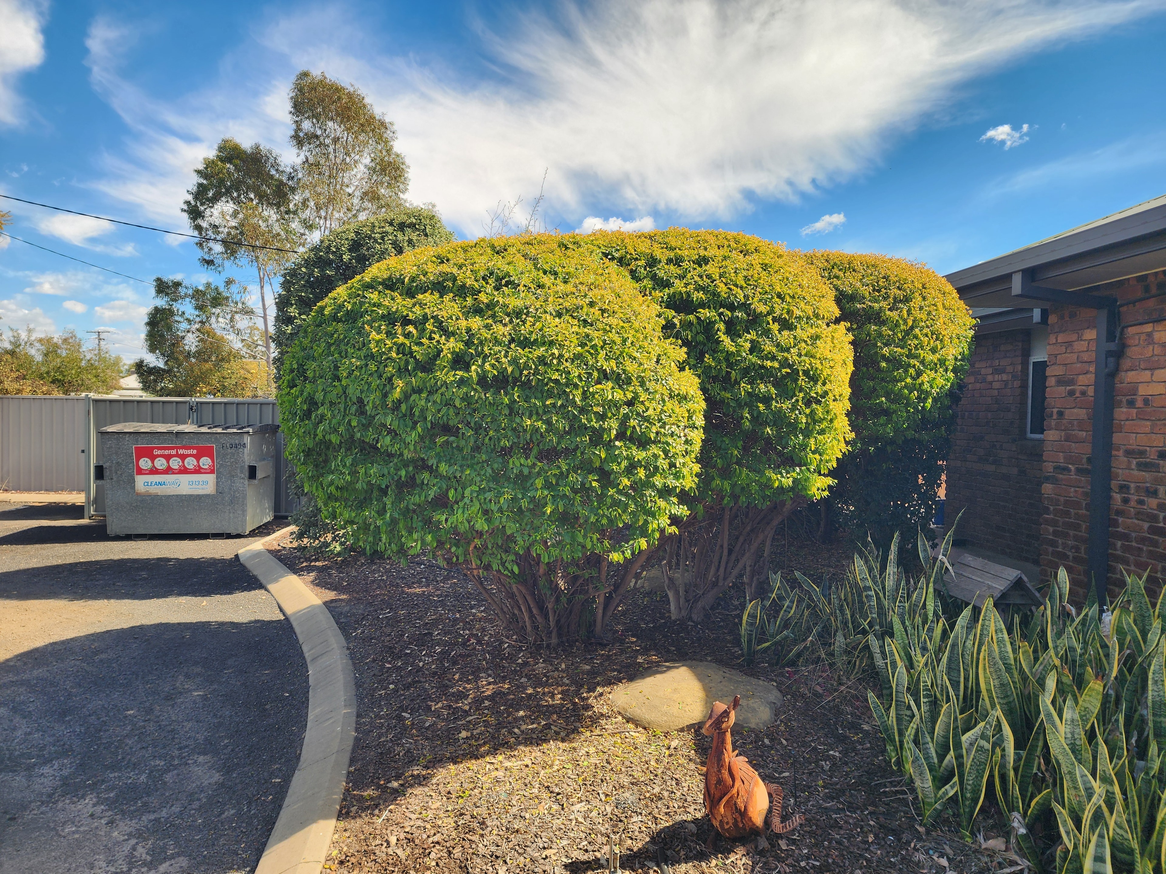 Hedge Shaping — Commercial Property