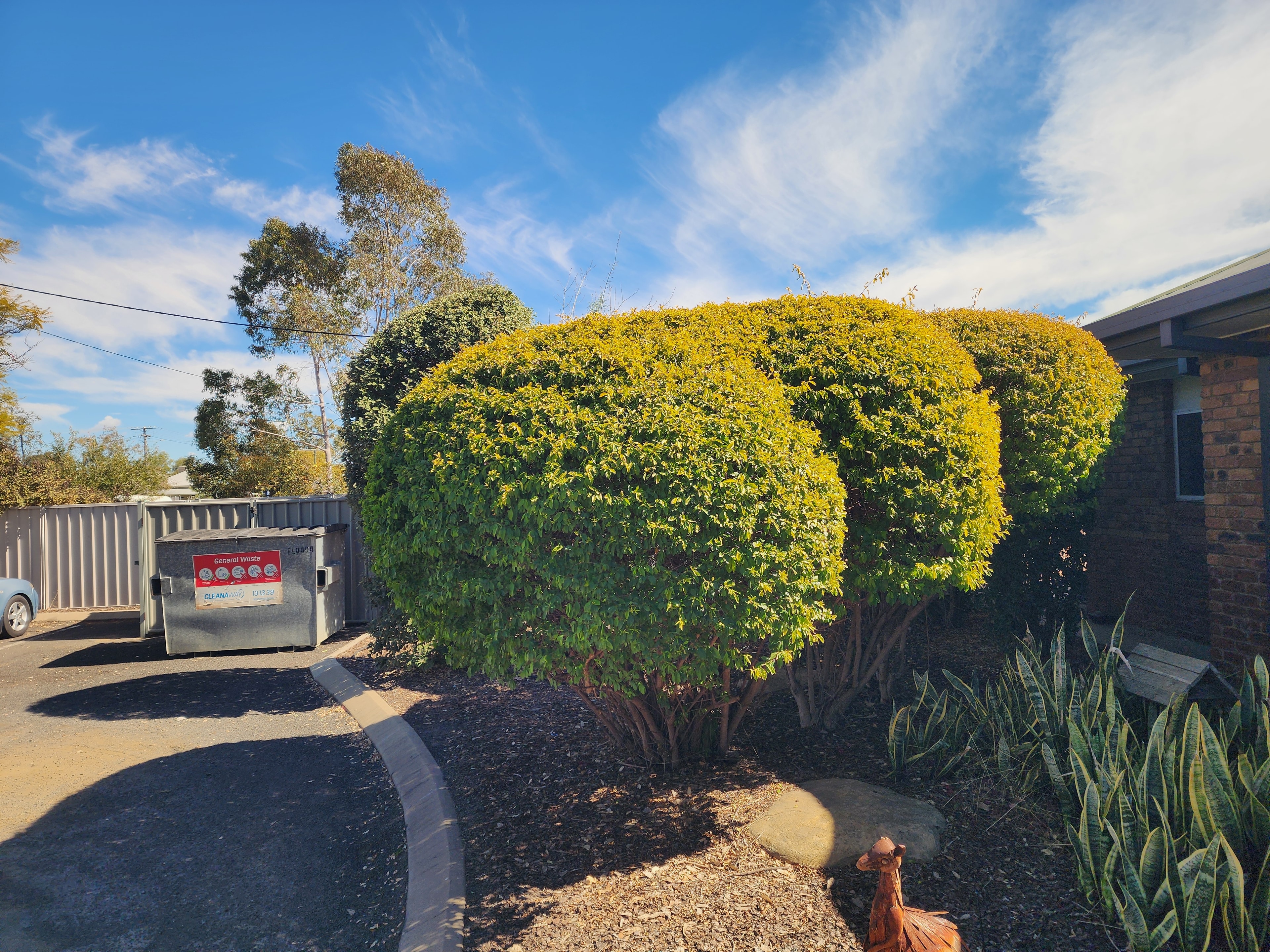 Hedge Maintenance — Before & After