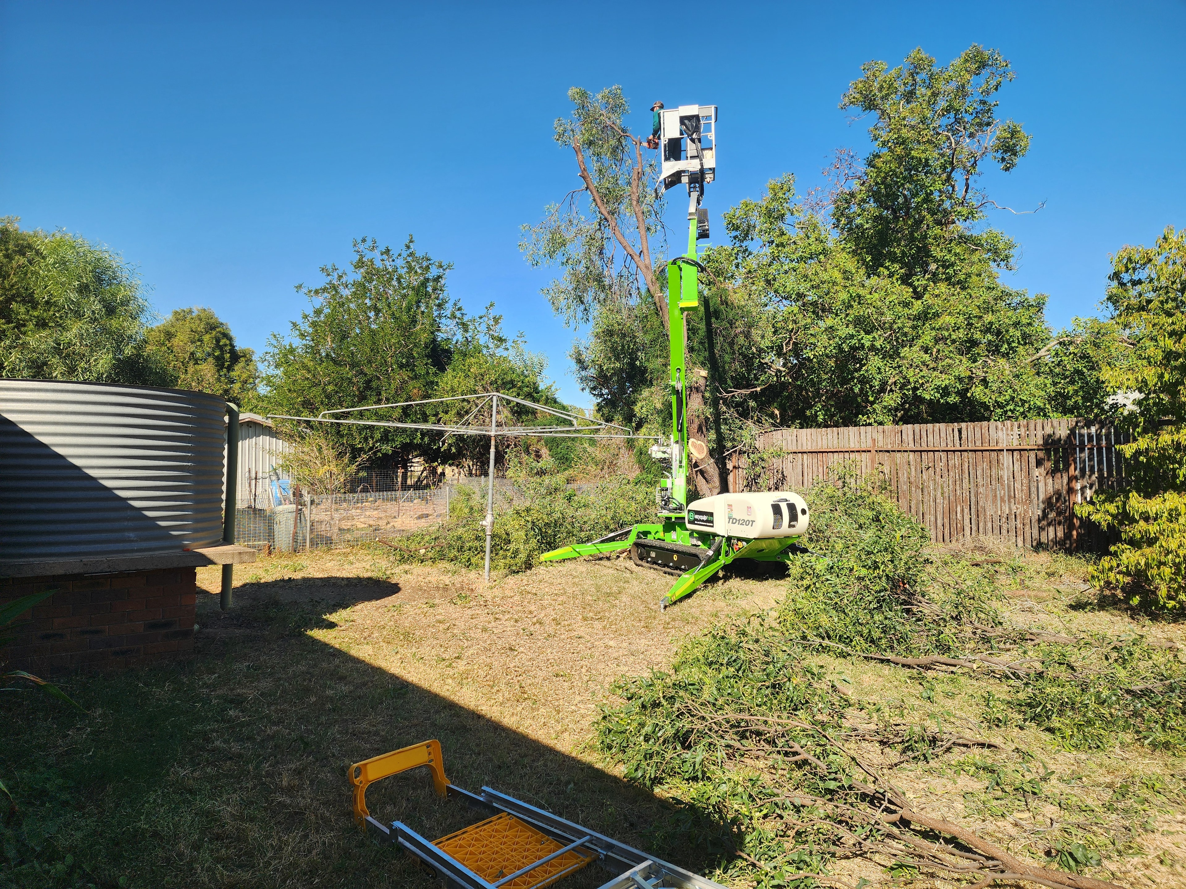 Tree Work — Elevated Access