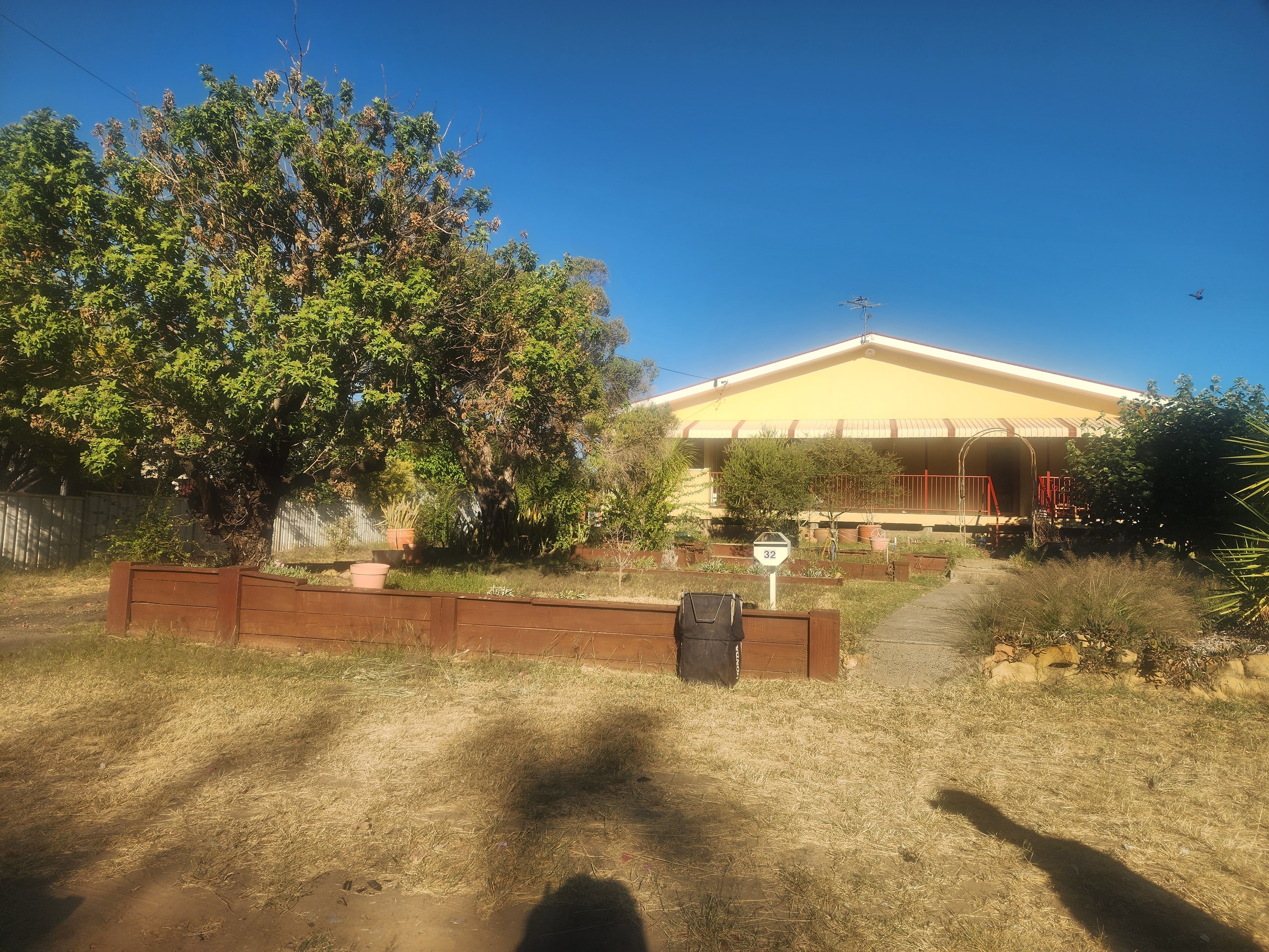 Yard Clean-Up & Tidy