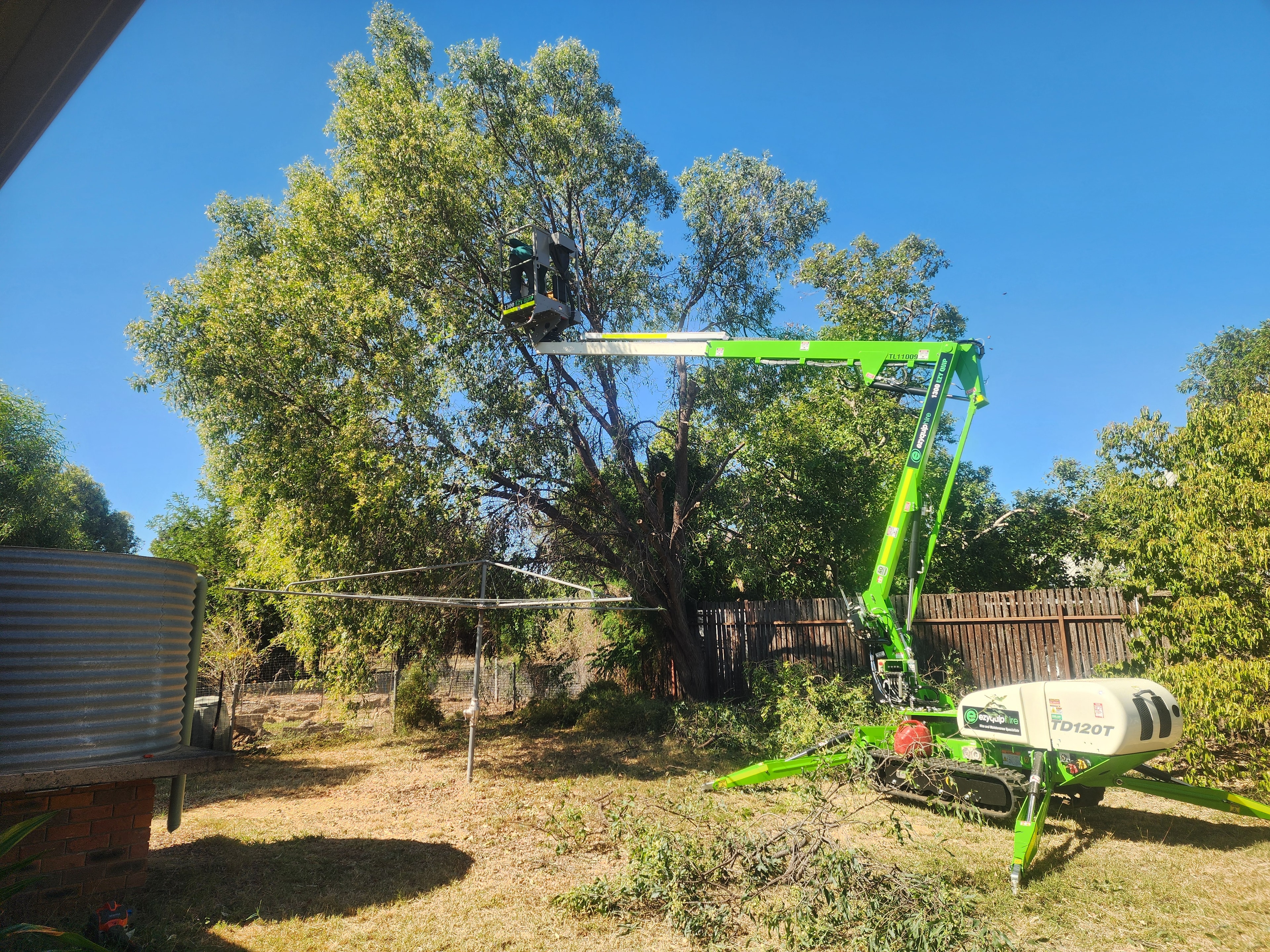 Tree & Shrub Pruning