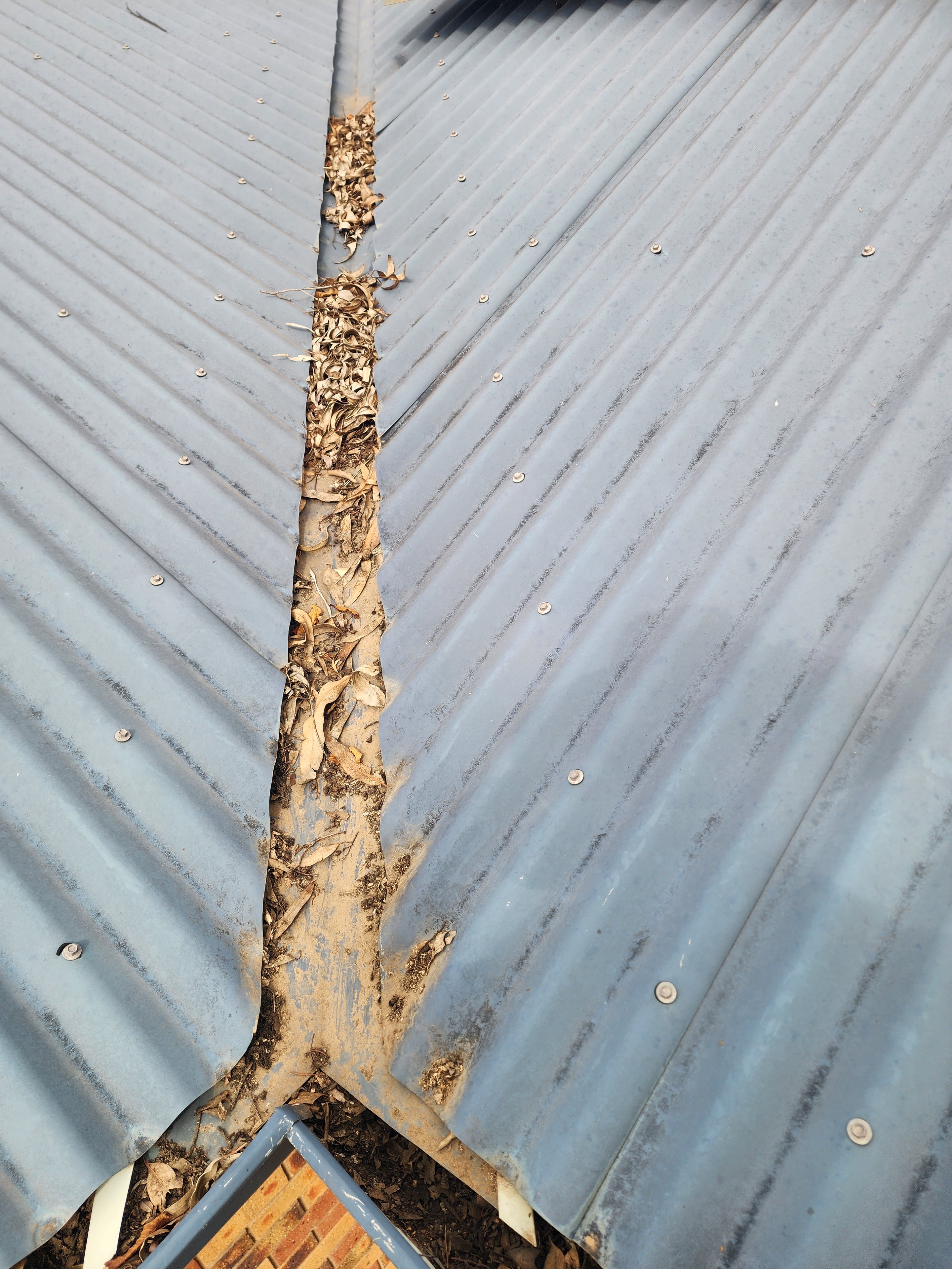 Gutter Cleaning — Full Roof Clear